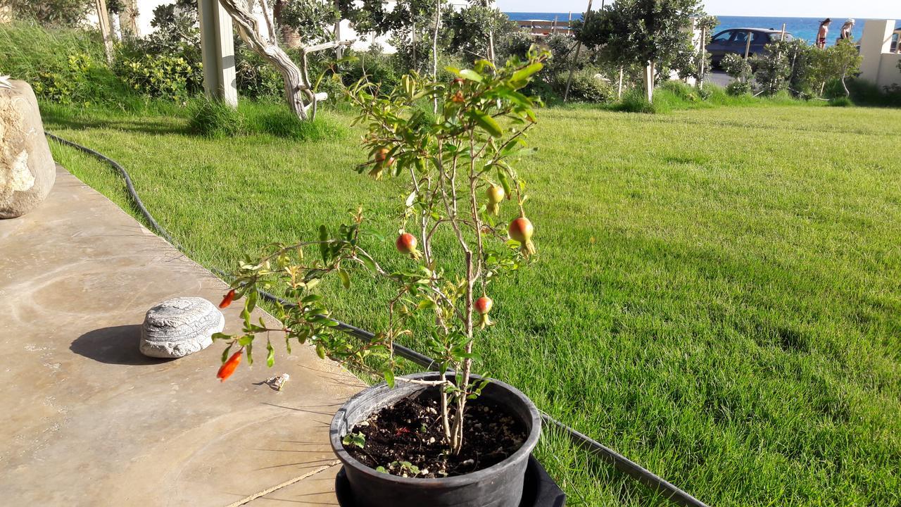Rodia * Kokkinos Pirgos